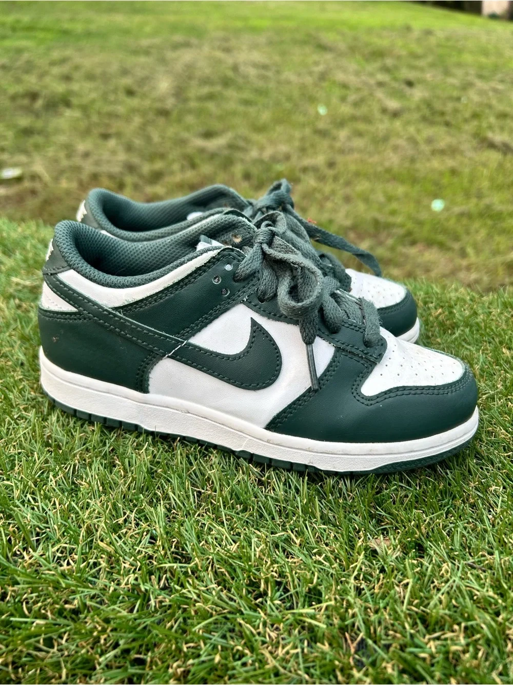 Nike worn size dunk